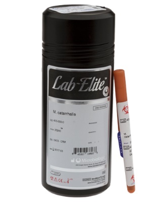 lab-elite-no-background.jpg 