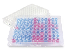 Standard Plates Yeast Test