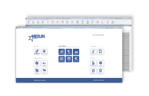 Micronaut Software
