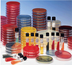BBL™ Staphyloslide™ Latex Test Kit 100 Tests (1 ea)