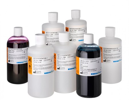 Cryptosporidium Stains